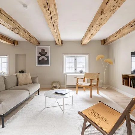 Stylish Loft In The Heart Of Cph Apartment *