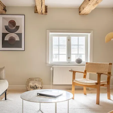 Stylish Loft In The Heart Of Cph Appartement *