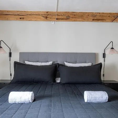 Apartment Stylish Loft In The Heart Of Cph