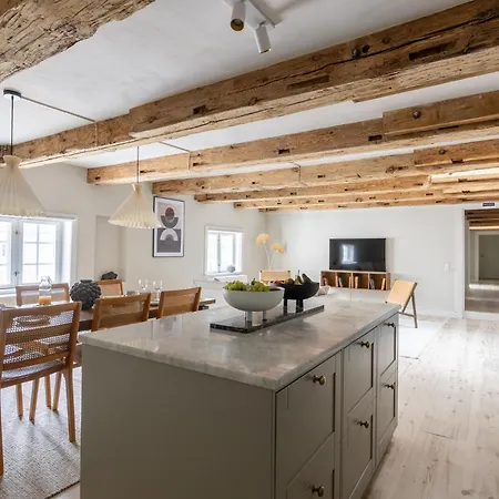 Apartment Stylish Loft In The Heart Of Cph